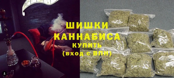 дживик Арсеньев